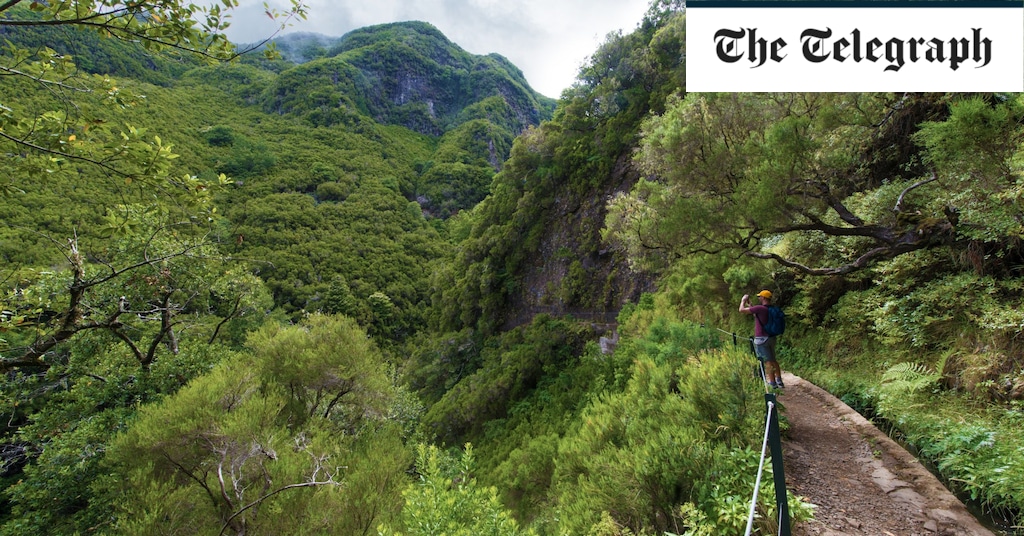 The best things to do in Madeira