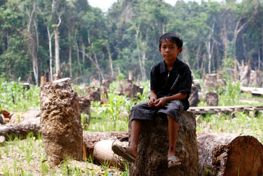 The delay to EU deforestation rules must help people transition | Opinion | Eco-Business