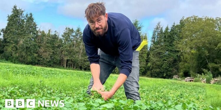 The hybrid workers in France seeking fulfilment in the fields