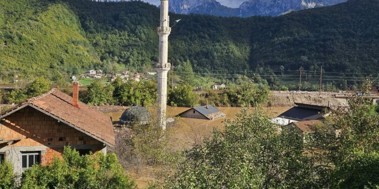 The unseen Toll of Floods: Prioritizing Mental well-being in Bosnia and Herzegovina