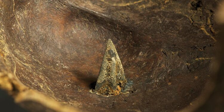 These 3,000-Year-Old Arrowheads Are Pivotal Clues in the Mystery of 'Europe's Oldest Known Battlefield'