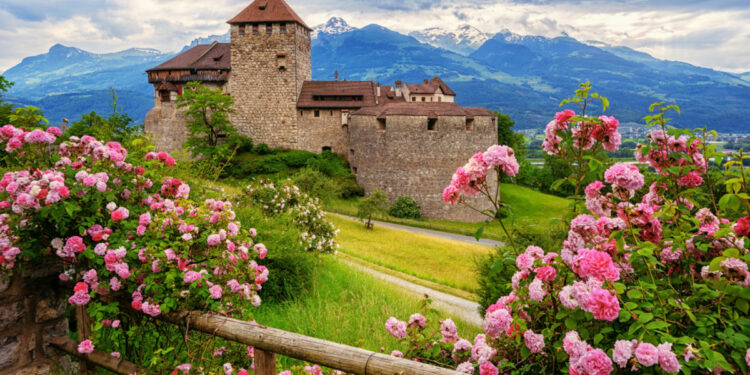 Vaduz castle, Liechtenstein, in the Alps mountains, with beautiful blooming pink rose flowers