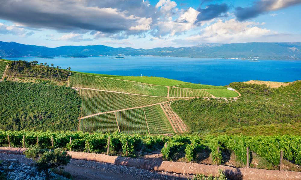 This Is The Most Beautiful Vineyard in Europe