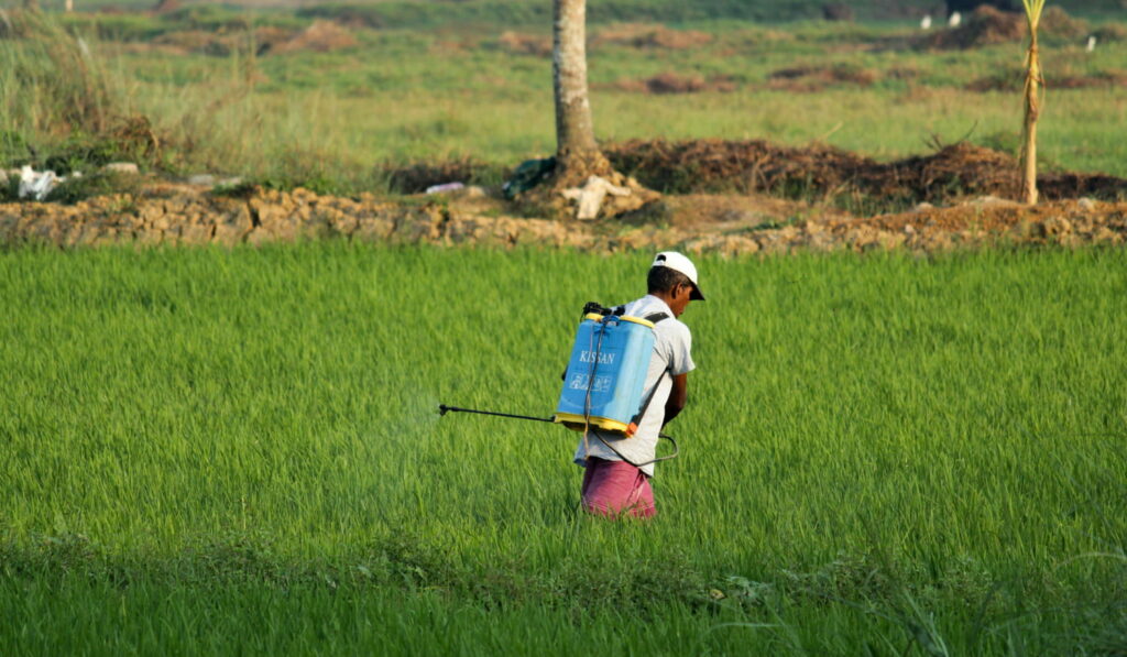 This Is the Country That Uses the Most Pesticides in Europe – And It’s Not the One You Think!