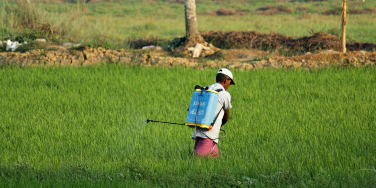 This Is the Country That Uses the Most Pesticides in Europe – And It’s Not the One You Think!
