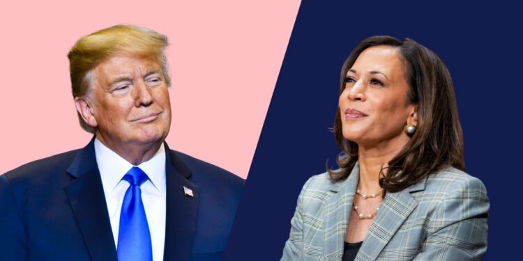 Trump vs. Harris: Analysts weigh in on who’s better for Czechia's economy