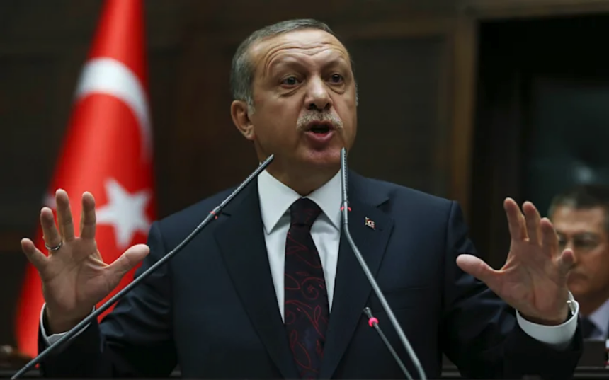 Turkey Ready to Build Cyprus Naval Base ‘If Necessary’: Erdogan