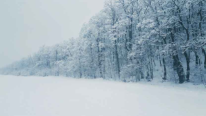 UK Braces for New -10°C Cold Snap and “Wall of Snow”: Impacts on Travel and Tourism Across Northern Europe