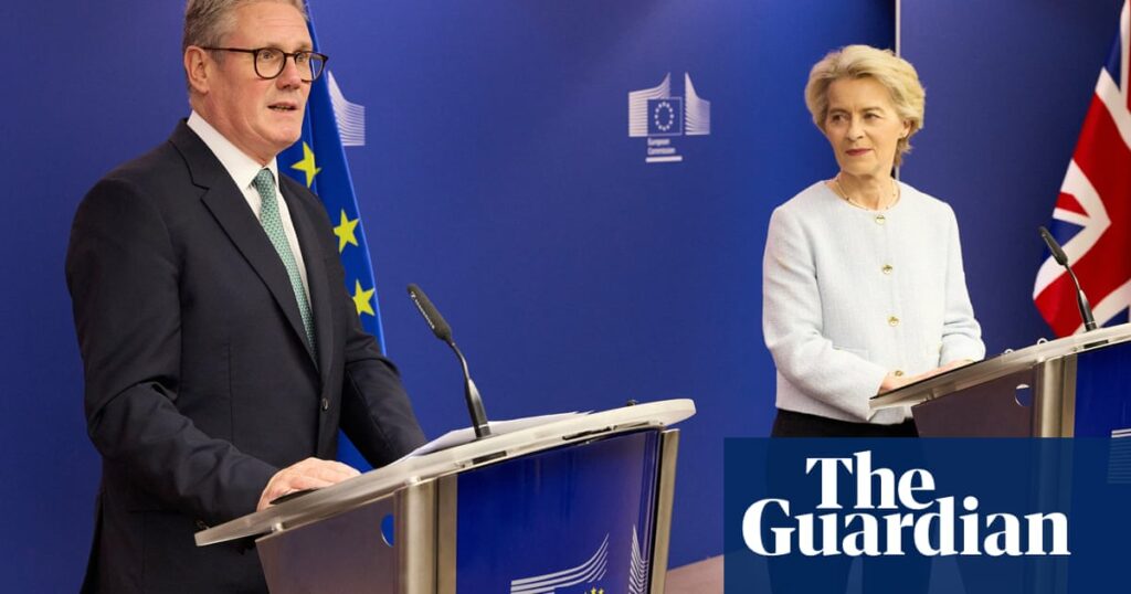 UK government must say what Brussels ‘reset’ means, says EU delegation head | Foreign policy