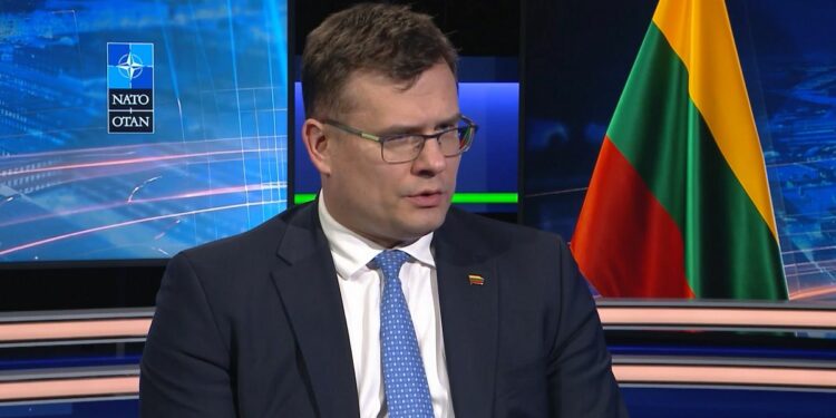 Ukraine must be allowed into NATO, Lithuanian defence minister tells Euronews