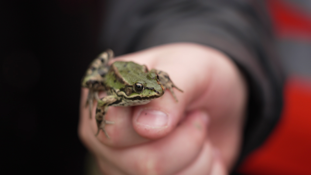 VIDEO: Discover grassroots environmentalism in Austria and Berlin