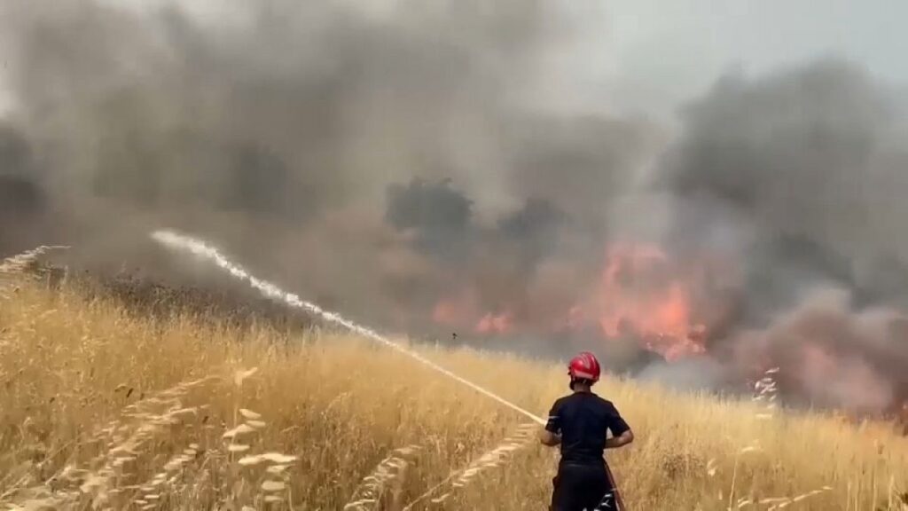 Video. Albania asks for EU help to tackle wildfires