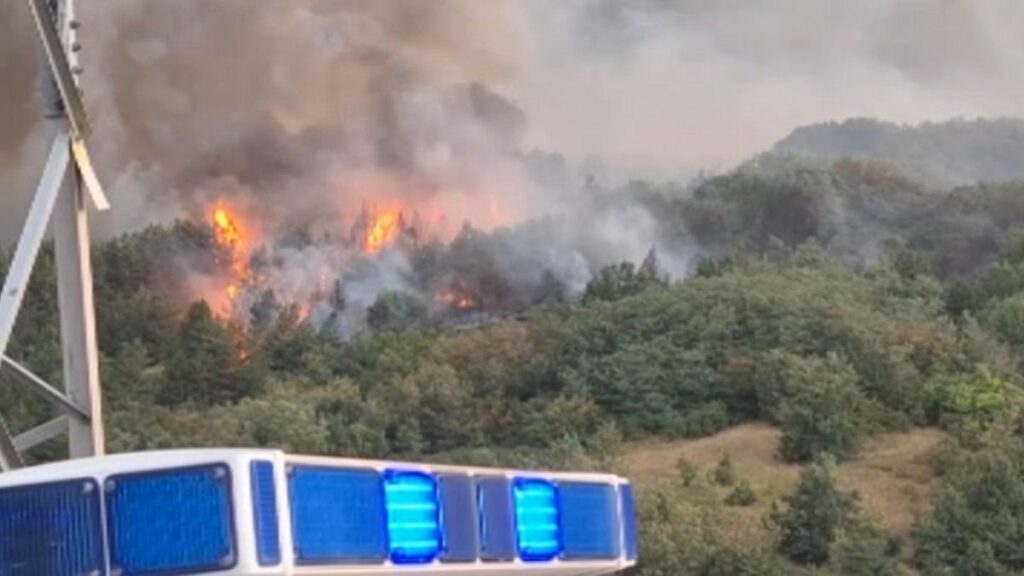 Video. At least 20 wildfires burn across parts of North Macedonia’s south - Euronews