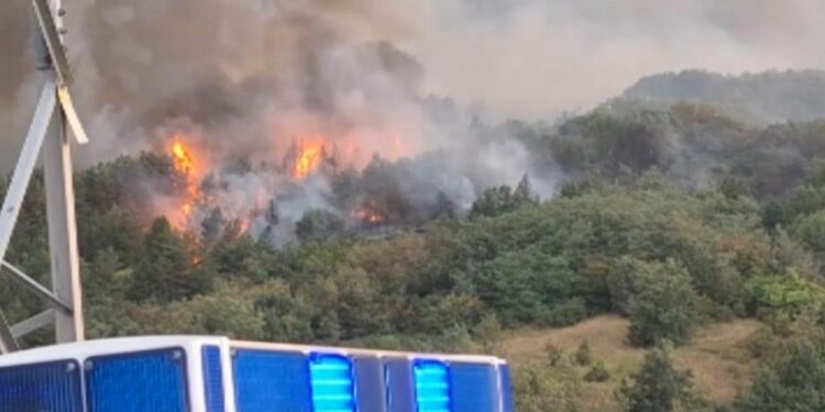 Video. At least 20 wildfires burn across parts of North Macedonia’s south - Euronews