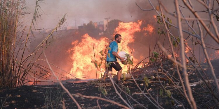 Video. EU to provide emergency wildfire aid to Greece and Albania