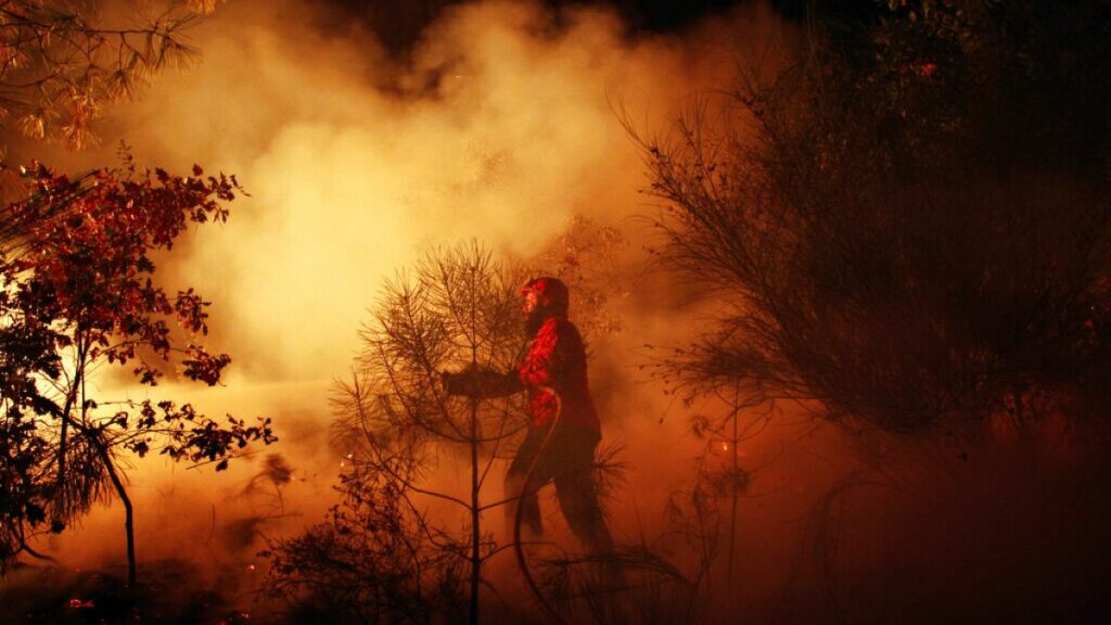Video. Portugal asks EU for assistance as wildfire reaches residential area – Euronews