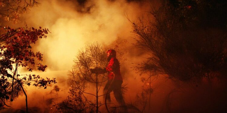 Video. Portugal asks EU for assistance as wildfire reaches residential area – Euronews