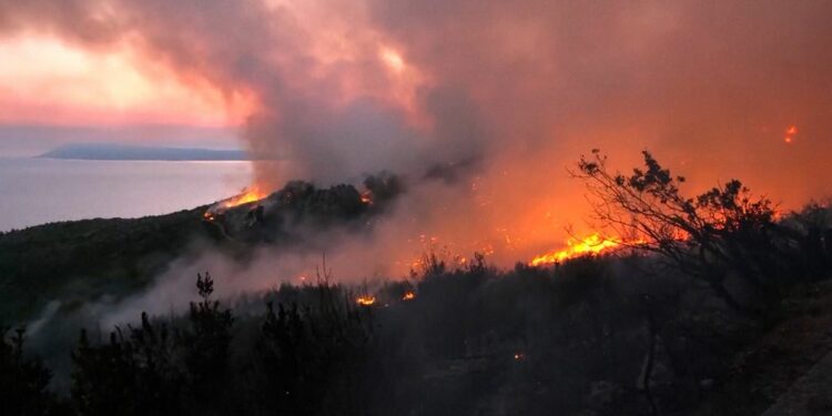 Video. Tourist towns evacuated as Croatia battles 122 wildfires