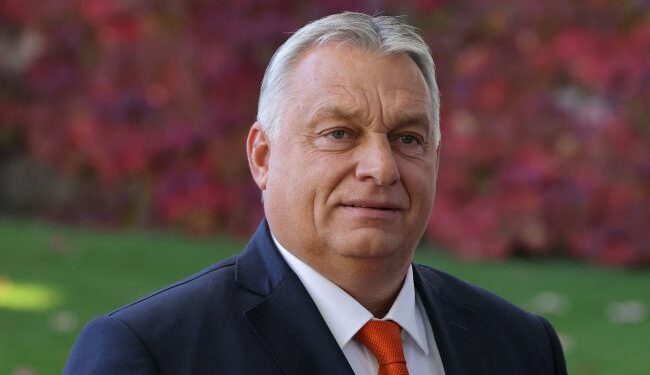 Orbán’s Moscow ties and anti-Ukraine rhetoric: What drives Hungary’s PM?