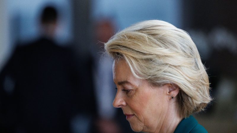 Von der Leyen’s carefully crafted coalition faces first test – Euractiv