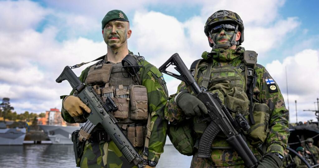 What Finland and Sweden Bring to NATO