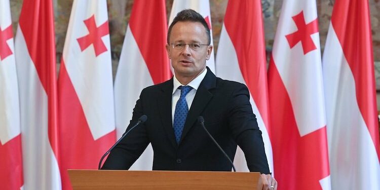 cooperation between Azerbaijan, Georgia, Romania, Hungary “can be game-changer”