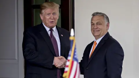 Getty Images Donald Trump, left, shakes hands with Viktor Orban at the West Wing of the White House in Washington DC, 13 May 2019