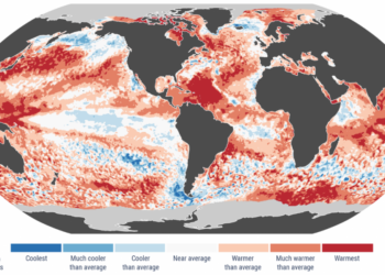 European Climate Agency Says 2024 Will Likely Beat Out 2023 as Hottest Year on Record European Climate Agency Says 2024 Will Likely Beat Out 2023 as Hottest Year on Record