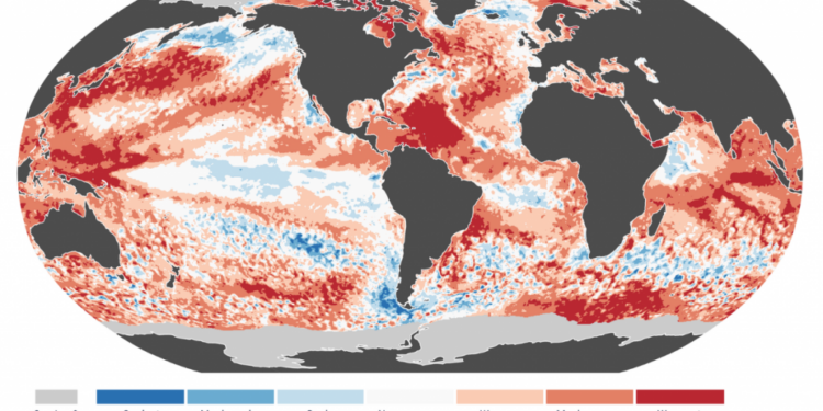 European Climate Agency Says 2024 Will Likely Beat Out 2023 as Hottest Year on Record