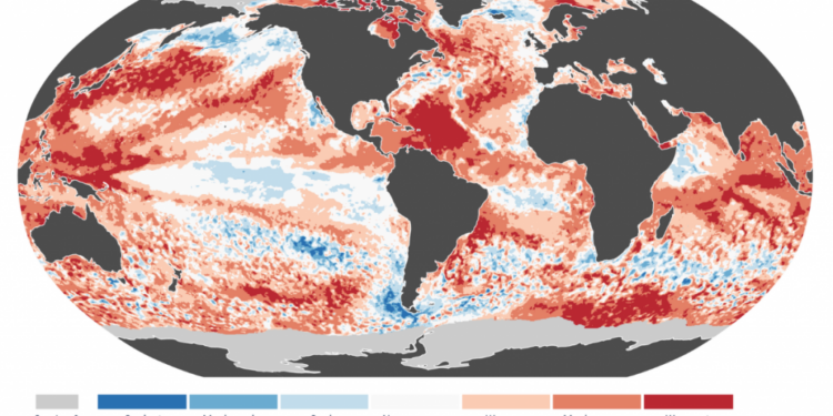 European Climate Agency Says 2024 Will Likely Beat 2023 as Hottest Year on Record