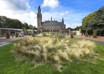 Fun and Games Not to be Missed