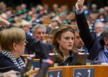 Parliament backs ‘no risk’ group, trade partners accuse EU of protectionism – Euractiv