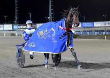 Sweden’s Breeders Crowns complete – Harnesslink