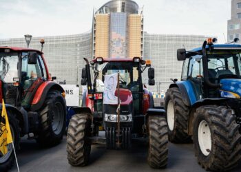 Italian agriculture minister rejects EU-Mercosur trade deal ‘in current form’ Italian agriculture minister rejects EU-Mercosur trade deal ‘in current form’
