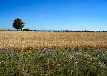 Political Deal reached on Denmark’s Green Tripartite – What’s in it and what’s not?