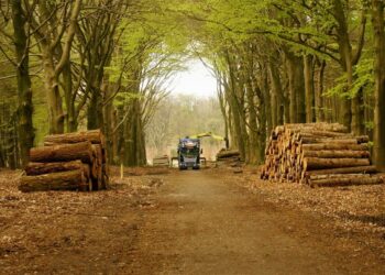 Current ESG challenges – The Slovak Spectator