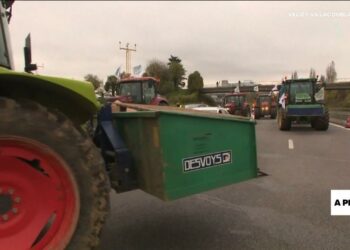 French farmers protest against EU-Mercosur deal
