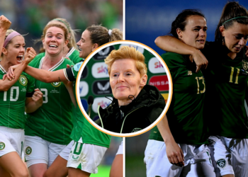 Gleeson: Ireland Have Learned From Past Pain Ahead Of Euro Playoff