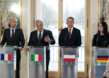 The EU’s precarious plan ahead of Trump’s return to the White House The EU’s precarious plan ahead of Trump’s return to the White House