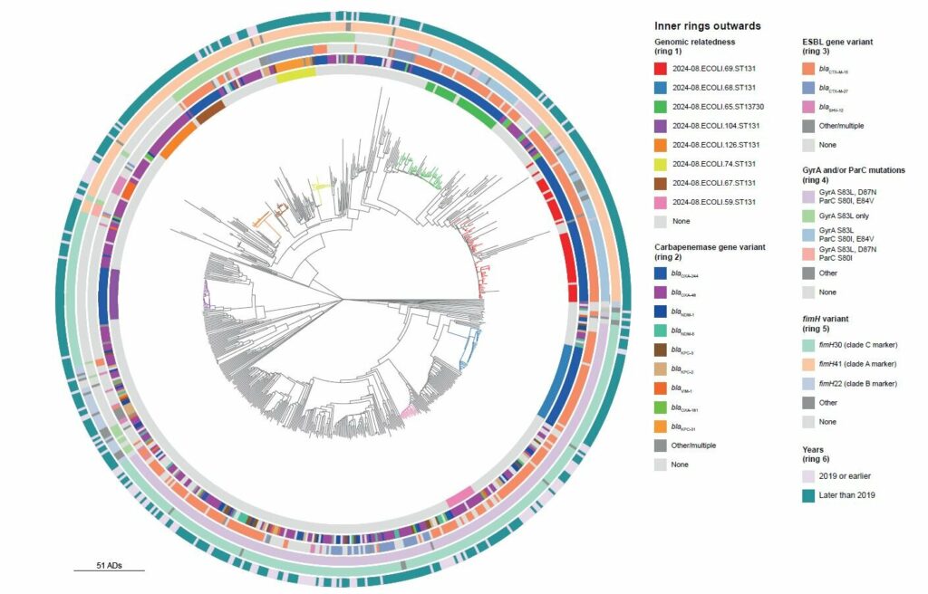 Genomic surveillance studies reveal circulation of multidrug-resistant Enterobacterales in Europe