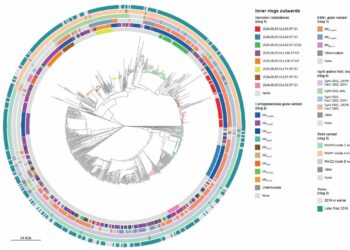 Genomic surveillance studies reveal circulation of multidrug-resistant Enterobacterales in Europe