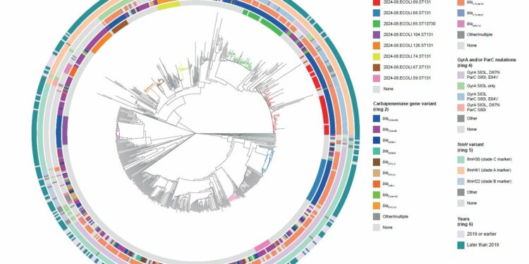 Genomic surveillance studies reveal circulation of multidrug-resistant Enterobacterales in Europe