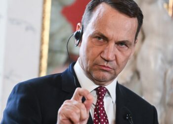 Radek Sikorski wants to be Poland’s president. Is his wife’s Trump-bashing a problem? – POLITICO