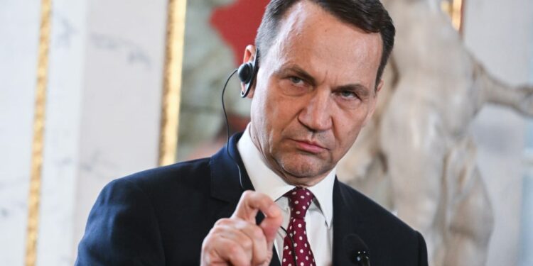 Radek Sikorski wants to be Poland’s president. Is his wife’s Trump-bashing a problem? – POLITICO