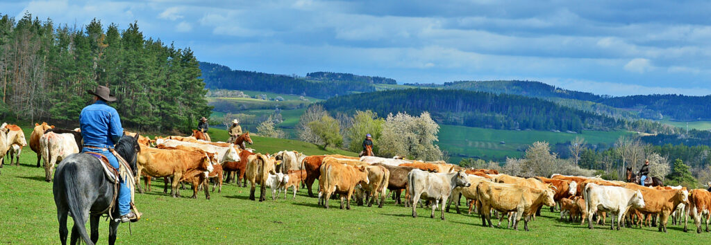Czech Republic | Fifty Years To Pay For A Farm