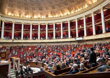 French lawmakers overwhelmingly reject treaty in non-binding vote