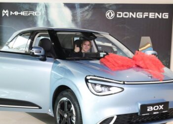 Chinese automaker Dongfeng delivers first Box model to customer in Slovenia