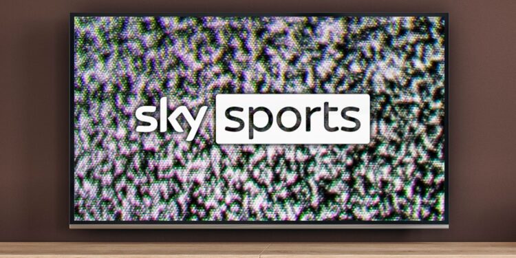 Major illegal Sky Sports streaming network used by 22m to watch Premier League games is shut down with 5 UK homes raided