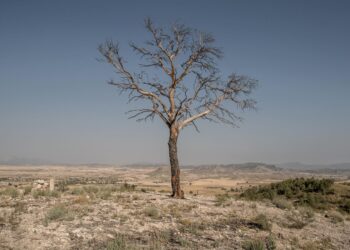 5 Lessons To Learn From Southern Europe’s Climate Change Strategies