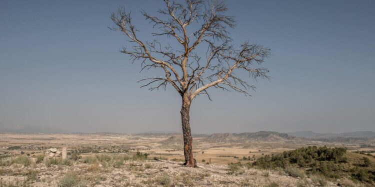 5 Lessons To Learn From Southern Europe’s Climate Change Strategies